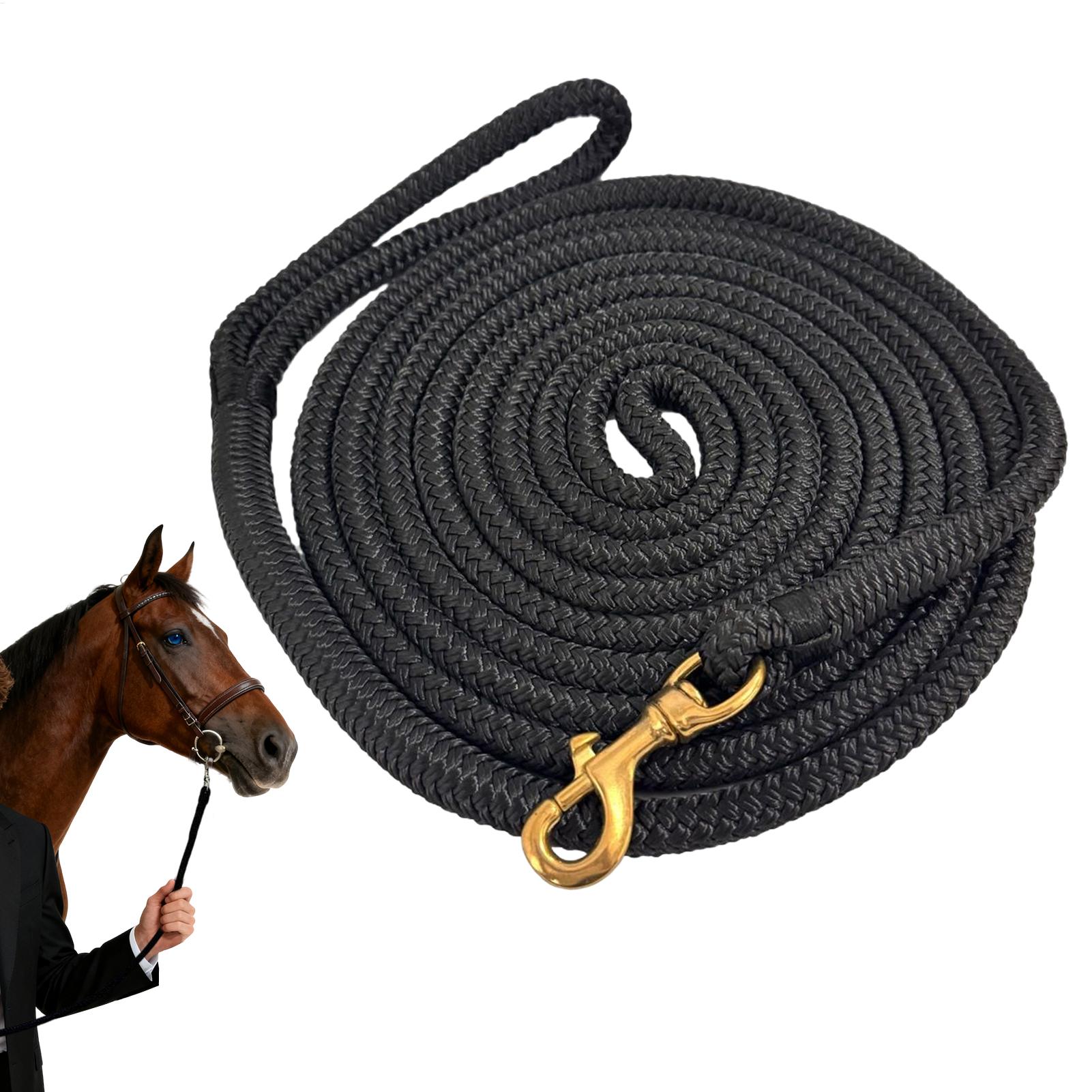 Longe d'entraînement pour chev - Lunge Line Horse avis et prix